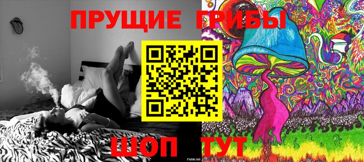 Урюпинск  Галлюциногенные грибы GOLDEN TEACHER  Вход с VPN 